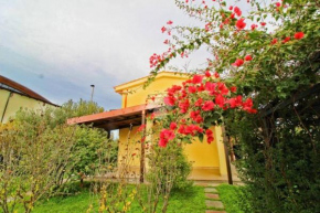 Villa Sofia